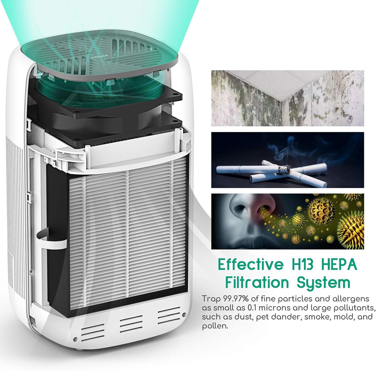 Air Purifier Dehumidifier Q10 HEPA Filter