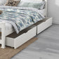 Leah Set of 2 Wooden Bed Frame Storage Trundle Drawers - White