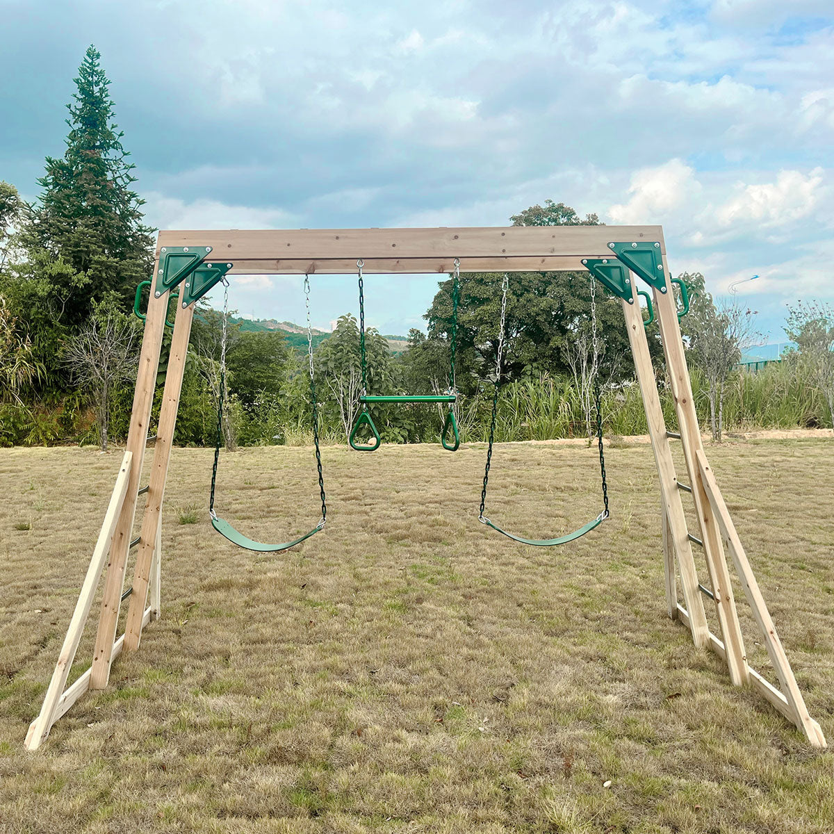 Kids Daintree 2-in-1 Monkey Bars & Swing Set