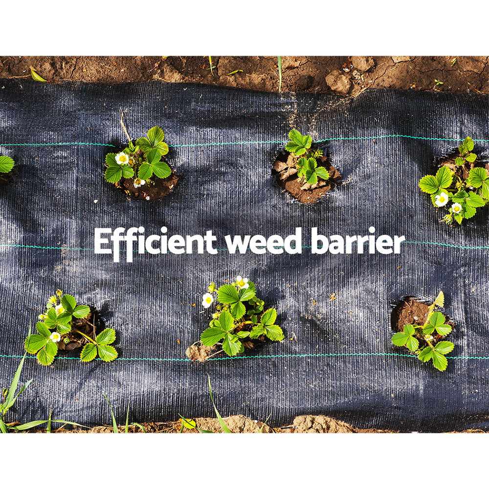 Weed Control Mat Black