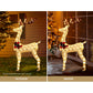 1.5M Christmas Lights Reindeer 100 LED Decorations