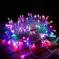 52M 500 LED Bulbs String Solar Powered Fairy Lights Garden Christmas Decor - Multicolour