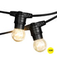 38M 40 LED Bulbs Festoon String Lights Kits Xmas Party Waterproof Indoor/Outdoor - Warm White